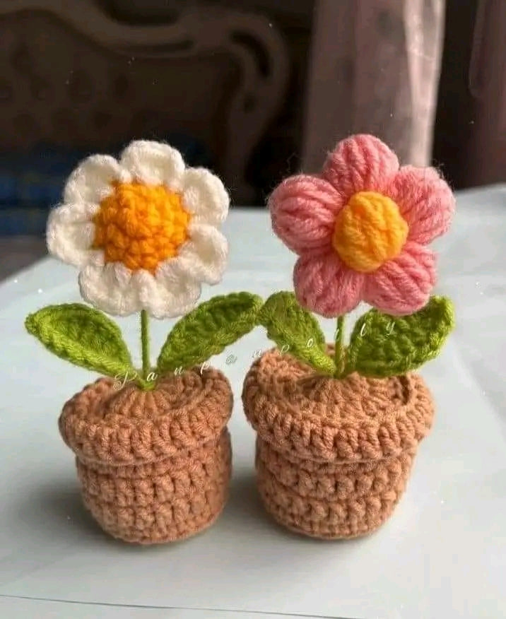 Desk & Office Decor