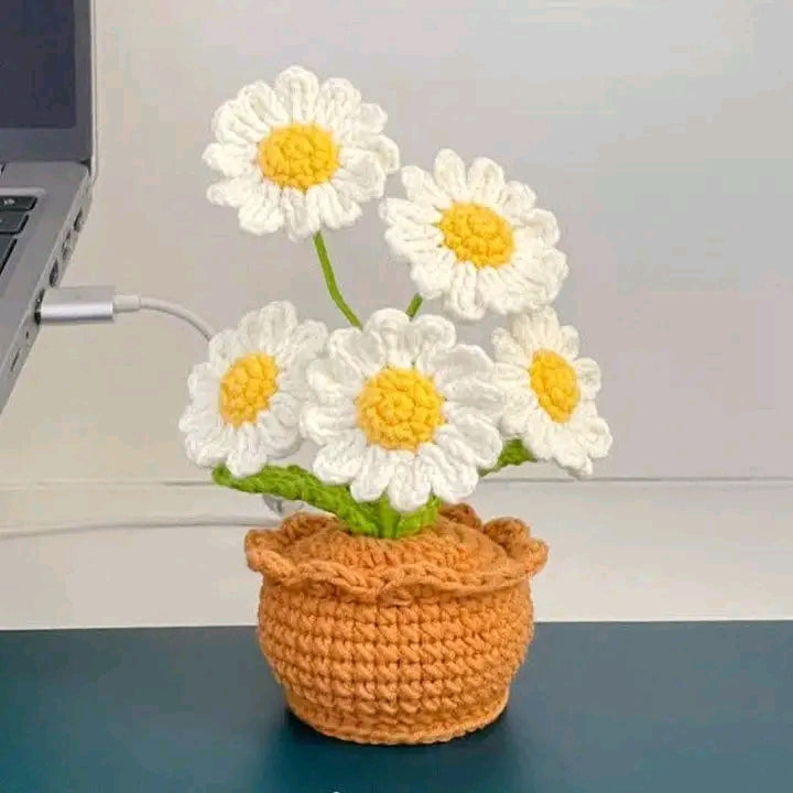 Handmade Crochet Daisy Flower Pot